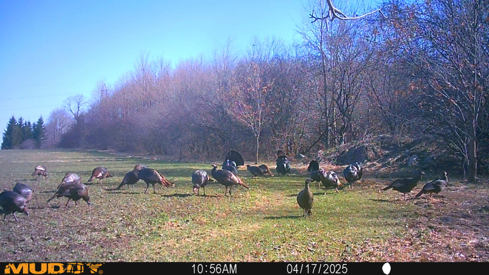 BattleFish Charters – Youth Turkey Hunting Camp
