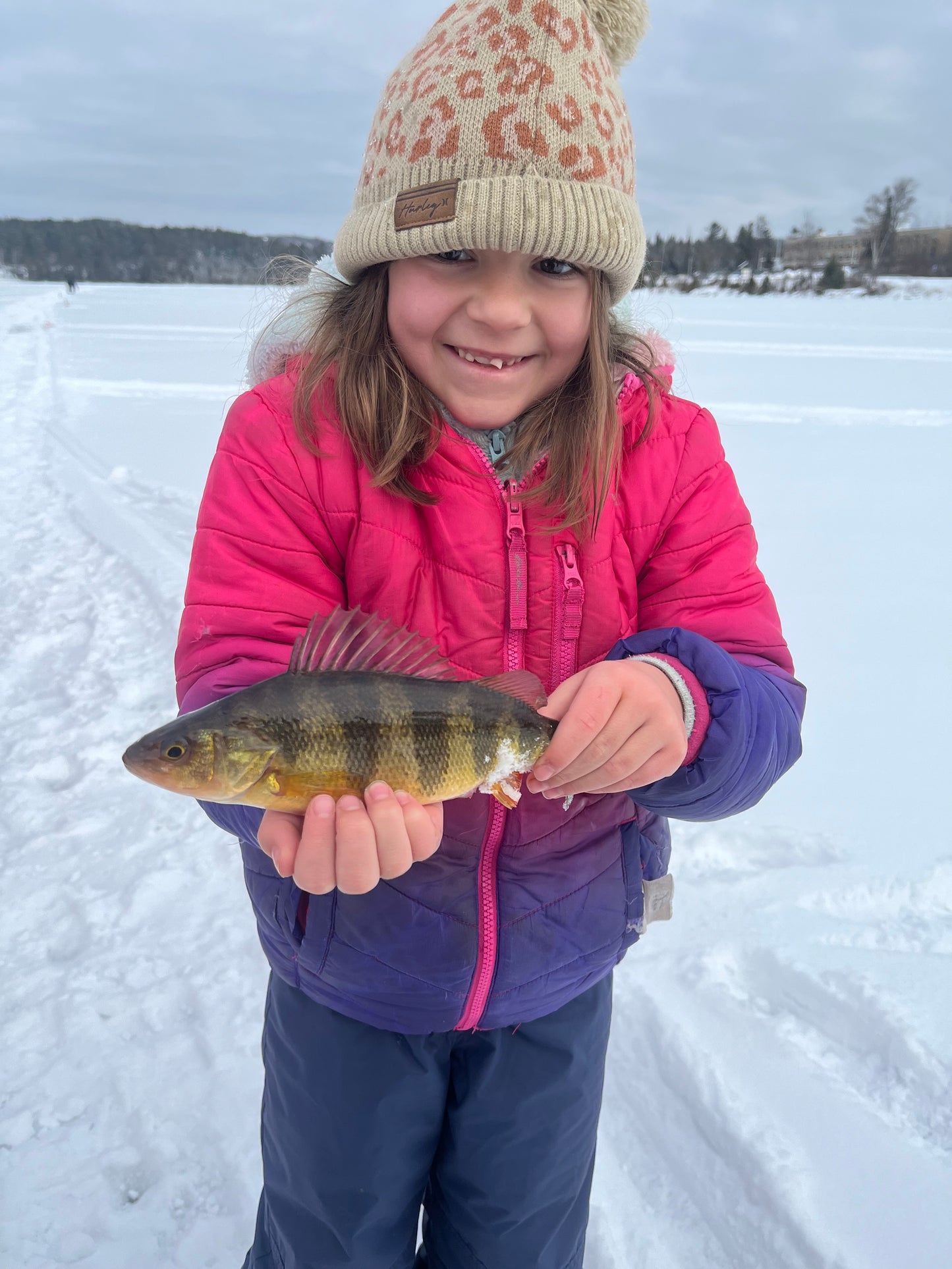 
                  
                    Battle Fish Charters - Youth Ice Fishing Camp
                  
                