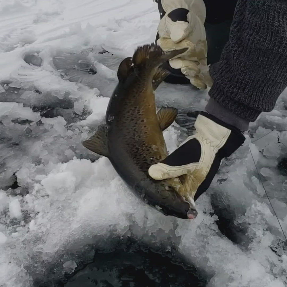 
                  
                    Load and play video in Gallery viewer, Adirondack Fishing!
                  
                