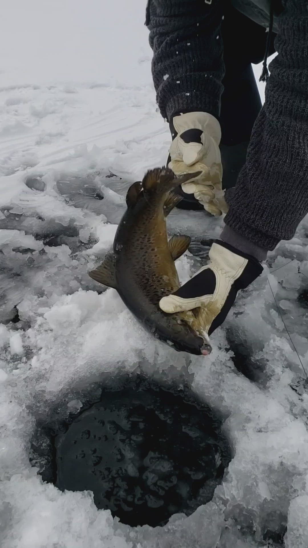 
                  
                    Load and play video in Gallery viewer, Adirondack Fishing!
                  
                