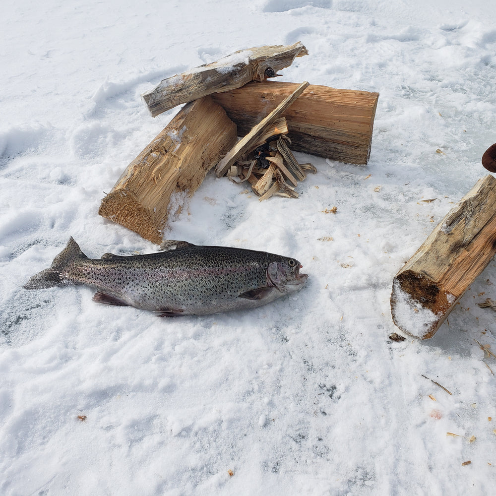 
                  
                    Ice B&B guided glamping & ice fishing trip
                  
                