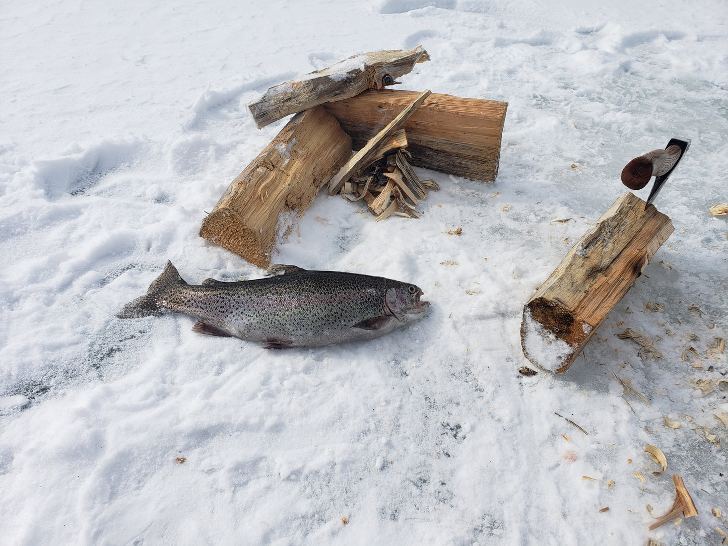 
                  
                    Ice B&B guided glamping & ice fishing trip
                  
                