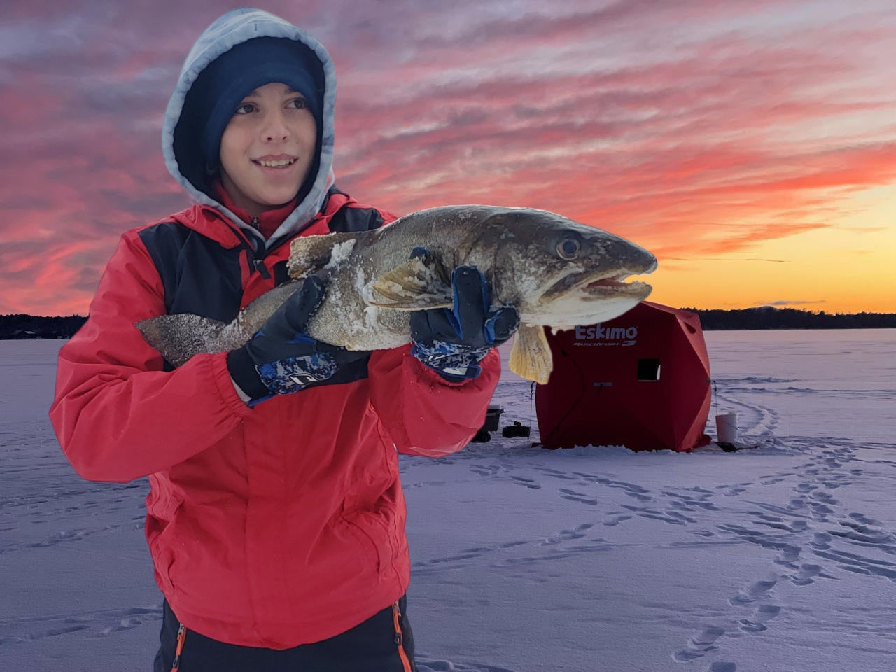 
                  
                    Ice B&B guided glamping & ice fishing trip
                  
                